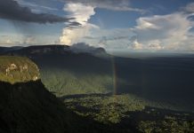 Don’t ask what You can do for Nature… but what Nature can do for You