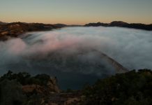 The Past, the Present, the Unknown Polemics The Past, the present