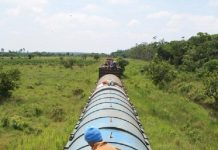 Phantom Victims: A Migrant Woman’s Route to Neglect Polemics