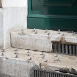 Boulons_anti-sdf_sur_un_perron_(Marseille,_France)