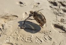 Beyond Europe: Brexit’s shadow over the Caribbean