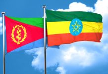 Eritrea and Ethiopia’s Long Road to Peace: the Role of Diplomacy!