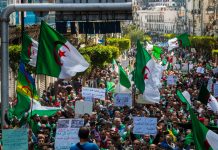 Arab Spring: Will it ever blossom?