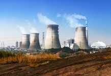 Nuclear Renaissance in Developing Countries: Will it Pay off?