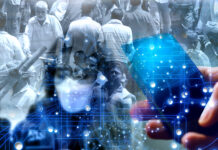 A Tale of Two Cities: Response, Resilience, and Recalibration