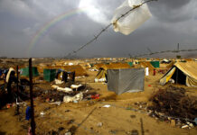 Amidst Famine and War:  Silver Lining on the Yemeni Horizon