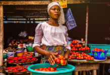 AfCFTA: Putting the Cart before the Horse?