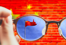 Democratic Support Without Democracy: Explaining the Popularity of the Chinese Government
