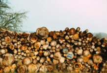 Lumber Shortages: A Crisis in Disguise