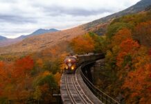 Le Chemin de Fer Européen : Est-il Sur la Bonne Voie ?