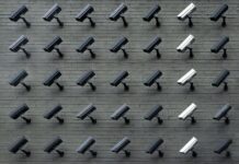 Cyber-attacking democracy: How the spyware ‘Pegasus’ threatens the freedom of speech and the work of journalists