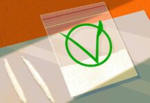 Cocaine Isn’t Vegan: The Environmental and Human Cost of Transnational Organized Crime