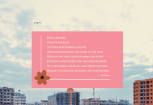 Friendshoring as an Opportunity for Africa: A Valentine’s Day Special