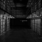 Drowning in the Fifth Wave: the Connection Between Right-Wing Extremism and Organized Crime in Austria