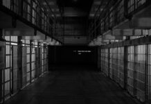 Drowning in the Fifth Wave: the Connection Between Right-Wing Extremism and Organized Crime in Austria