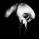 Calling for a Gendered Analysis of Human-Trafficking and a Gender-Responsive and Victim-Centred Criminal Justice System