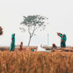 Women: The key to food security – between sensational headline and effective solution