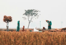 Women: The key to food security – between sensational headline and effective solution