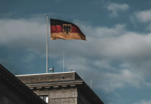 Protecting power, not principles: How firewalls erode democracy