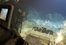 False Promises from the Deep Sea