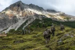 A Realist’s Perspective on the Austrian Neutrality Discourse