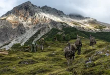 A Realist’s Perspective on the Austrian Neutrality Discourse