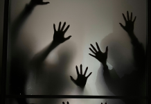 The Shadow Economies of Exploitation Human Trafficking and State Capacity in the Indo-Pacific