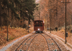 Borderline: Why Europe Still Lacks a Unified Railway System