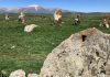 Dragon Stones of the Highlands: How Armenia’s Forgotten Vishapakars Are Rewriting Bronze Age History