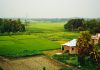The Green Side of the Atom: How Nuclear Science is Tackling Water Scarcity, Food Security, Climate Change, and Pollution