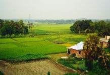 The Green Side of the Atom: How Nuclear Science is Tackling Water Scarcity, Food Security, Climate Change, and Pollution